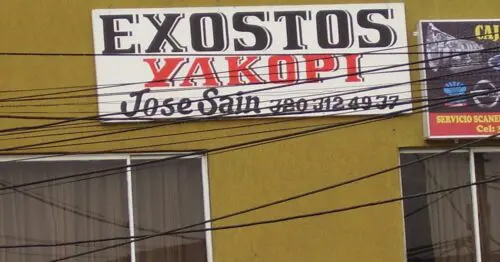EXOSTOS YAKOPI EXOSTOS YAKOPI
